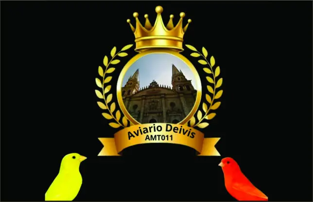 Aviario Deivis AOMT
