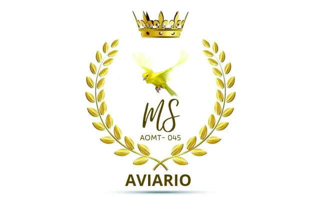 Aviario MS AOMT
